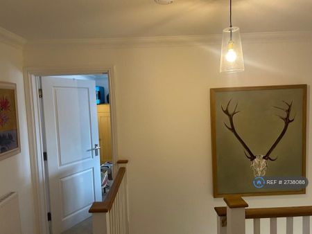 3 bedroom semi-detached house to rent - Photo 5