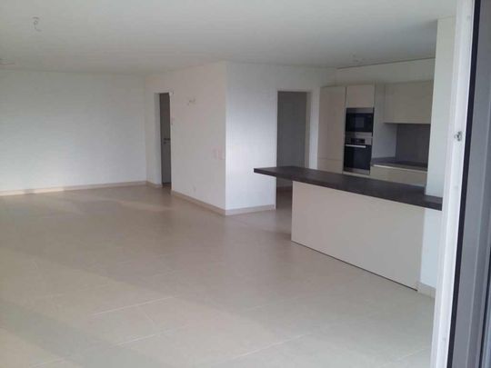 Lugano-Breganzona, grande appartamento 4.5 locali con terrazza coperta e vista - Foto 1