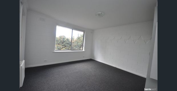 Vibrant Location + Updated Apartment = Unreal Living - Photo 1