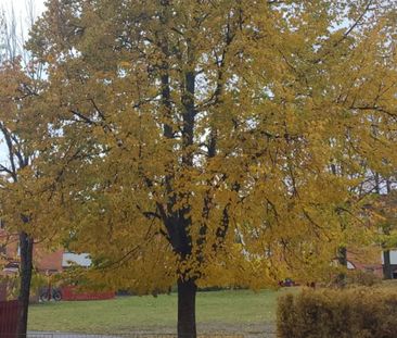 Råssnäsvägen, Motala - Photo 1