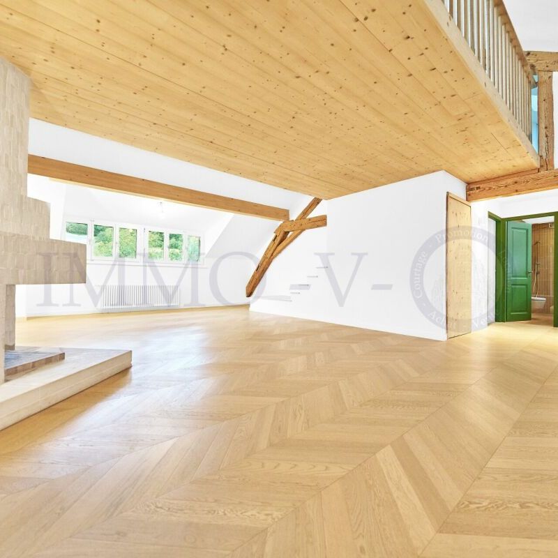 SPACIEUX ATTIQUE RENOVE DE STANDING AVEC EMPLACEMENT IDEAL - Photo 1