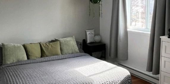 Spacieux 4 1/2 A Louer - Photo 2