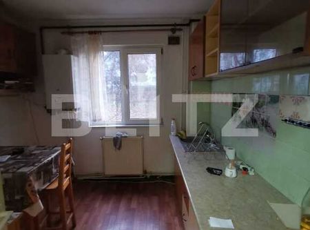 Apartament cu 3 camere, partial mobilat, 70 de mp, pet friendly, zona strazii Brancusi - Fotografie 5