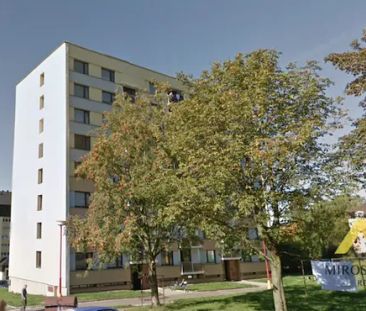 Pronájem bytu 3+1 s lodžií, 68 m - Fotografie 4