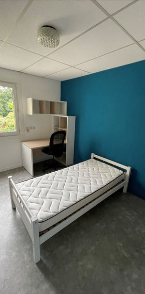 Location Appartement 1 pièce 14m² - Photo 1