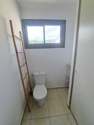 Location Appartement 1 pièce 26m² ST DENIS 97400 - Photo 1