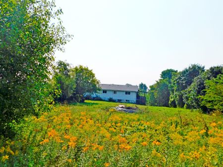 For Lease - 269 Rock Chapel Road, Hamilton, Ontario - Photo 2