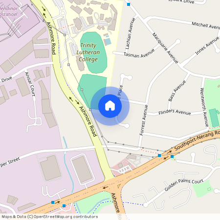 16 Theodore Place, Qld 4214, Molendinar