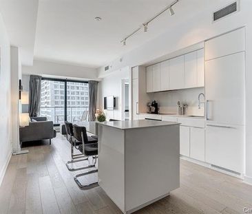 Appartement à louer - Montréal (Ville-Marie) (Centre Ouest) - Photo 6