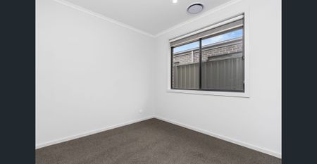 Nestled in a peaceful pocket of Seaford Heights - Photo 5