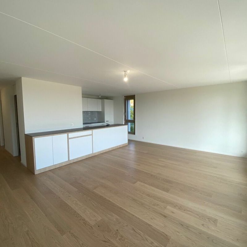 Appartement de 4.5 pièces entièrement rénové - Photo 1