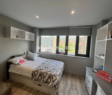 Classic Studio - Photo 1