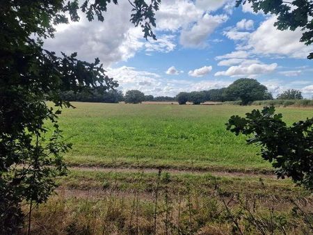 Blundeston Road, Somerleyton, NR32 - Photo 3