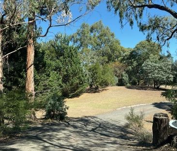 3 Tamar Close, Gisborne - Photo 6