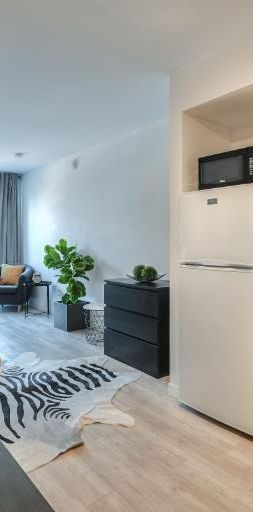 Studio - Montréal - $1,195 /mo - Photo 1