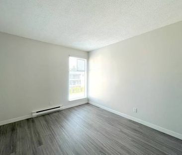 Spacious 2-Bedroom Apartment in Maple Ridge - Photo 3