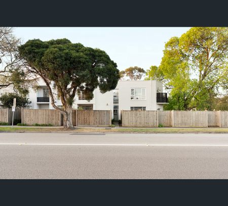 5/141 Centre Road, Brighton East, Vic 3187 - Photo 5