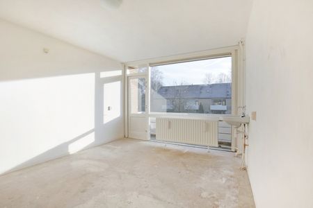 Te huur: Treiler 21 - Foto 4