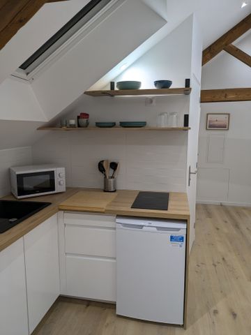 Location Appartement 1 pièce 29m² REIMS 51100 - Photo 4