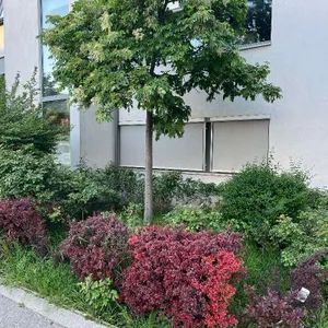 Ruhige 3-Zimmer-Gartenwohnung mit Tiefgarage in 1220 Wien - Polgarstraße-Wohnfläche 67,57m2, Garten 78,89m2, Baujahr 2007 - Photo 3