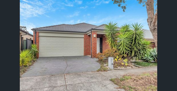 Spacious home within a great location! - Photo 1