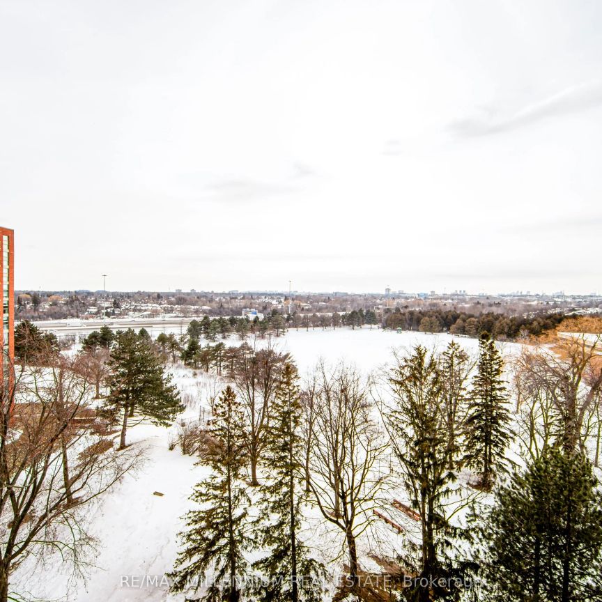 10 Dean Park #903 - Photo 1