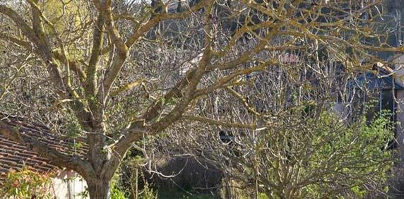 Location / . - Photo 2