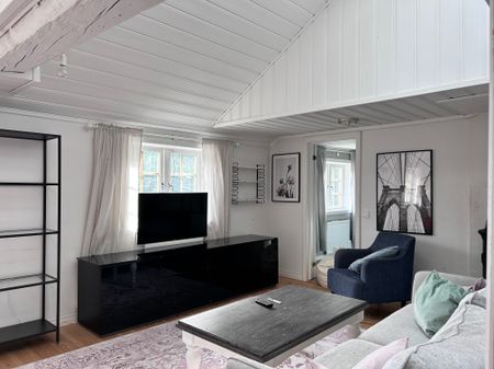 Nora bruk, Svartsjö - Photo 3