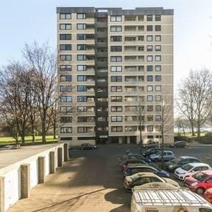 Vrijzicht, 1068 Amsterdam, Nederland - Photo 3