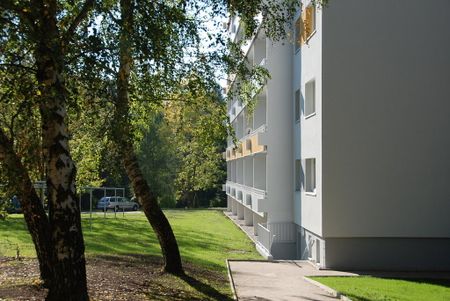 Singlewohnung mit Balkon nahe Küchwald - Foto 3