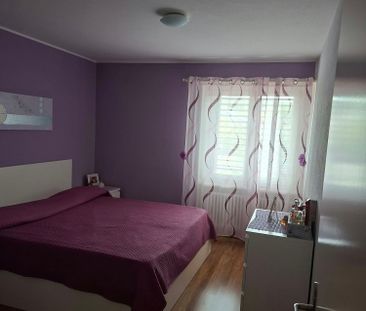 Gemütliche 3-Zimmer-Wohnung in Zofingen – ab sofort verfügbar! - Photo 4