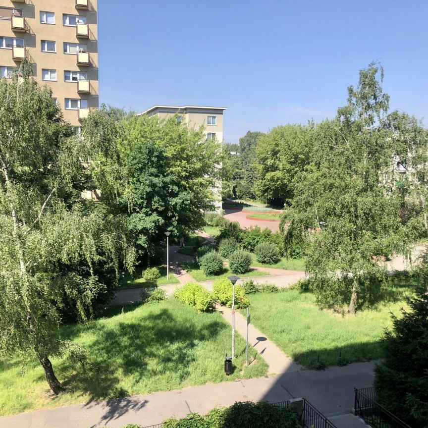 KAWALERKA W BARDZO DOBREJ LOKALIZACJI - Zdjęcie 1