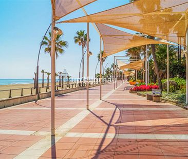 Ground Floor Studio · Estepona - Photo 3