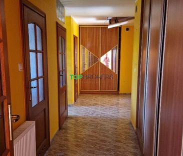 Legionowski, Nieporęt, Stanisławów Pierwszy - Photo 5