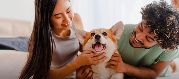 3555 Rue Saint-Antoine Ouest, Westmount, QC - Photo 1