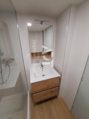 Location Appartement 1 pièce 16m² GRENOBLE 38000 - Photo 3