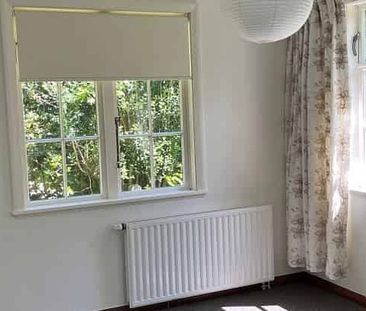 Charming Khandallah Home in Private Garden Setting - Photo 4