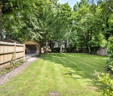 3 bedroom apartment to rent - Photo 6