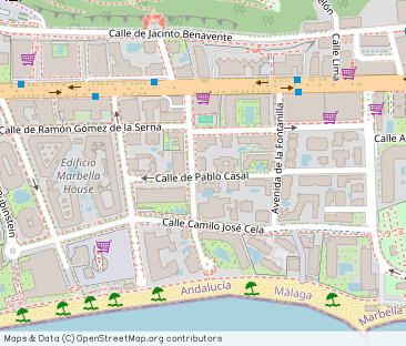 Marbella Center 100m From The Beach - Photo 1