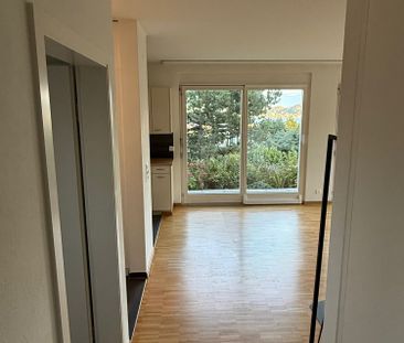 2.5-Zimmer-Gartenwohnung mit Seesicht und grosser Terrasse - Photo 3