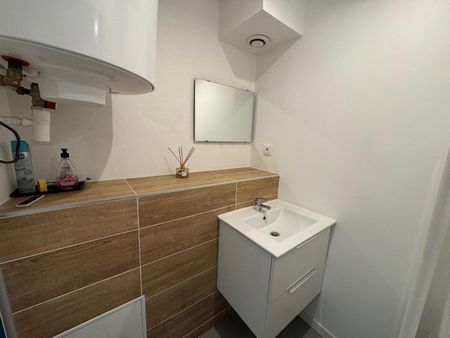 Location Appartement 1 pièce 20m² ST ETIENNE 42000 - Photo 4