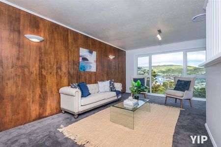 41 Chesterton Street, Johnsonville - Photo 4