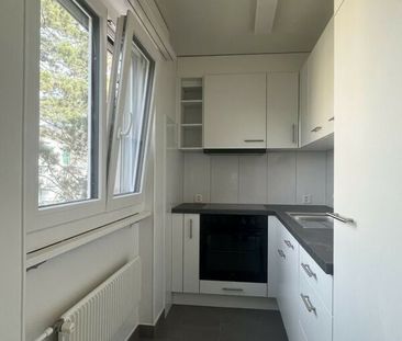Appartement entièrement rénové à louer ! - Foto 1