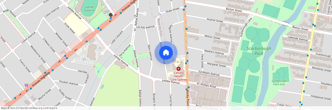 38 Ercildoune Avenue, NSW 2217, Beverley Park