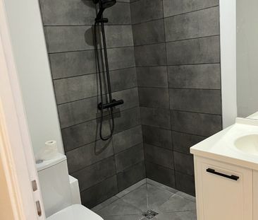 Location Appartement 1 pièce 26m² ECULLY 69130 - Photo 2