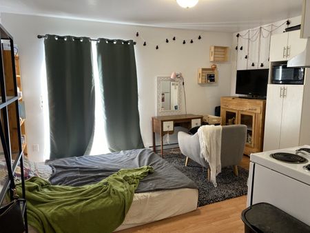 3160#10 rue de Courval Trois-Rivières - Photo 3