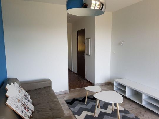 Location Appartement 1 pièce 35m² PRIVAS 07000 - Photo 1