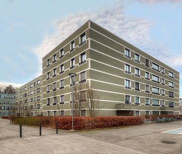 "Modern und zentral Wohnen" - Photo 1
