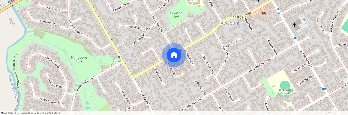 34 College Street, Awapuni, Palmerston North City