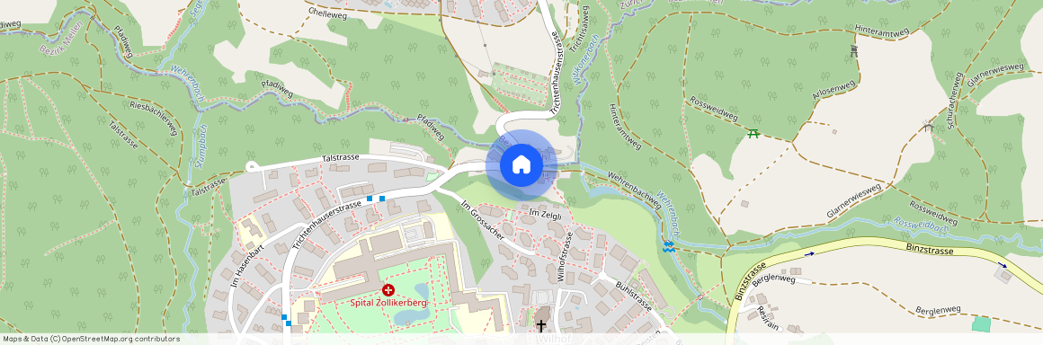 Trichtenhauser Str. 59, 8125, Zollikerberg